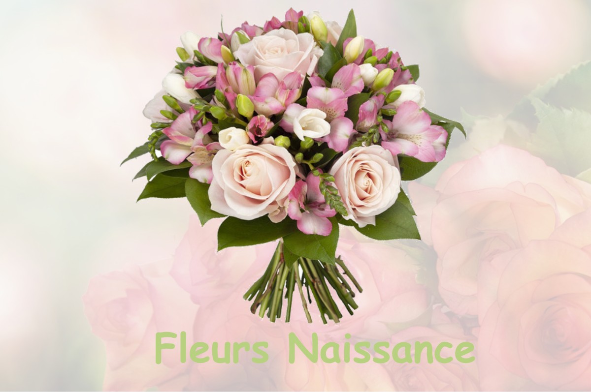 fleurs naissance SAINT-AIGNAN-LE-JAILLARD