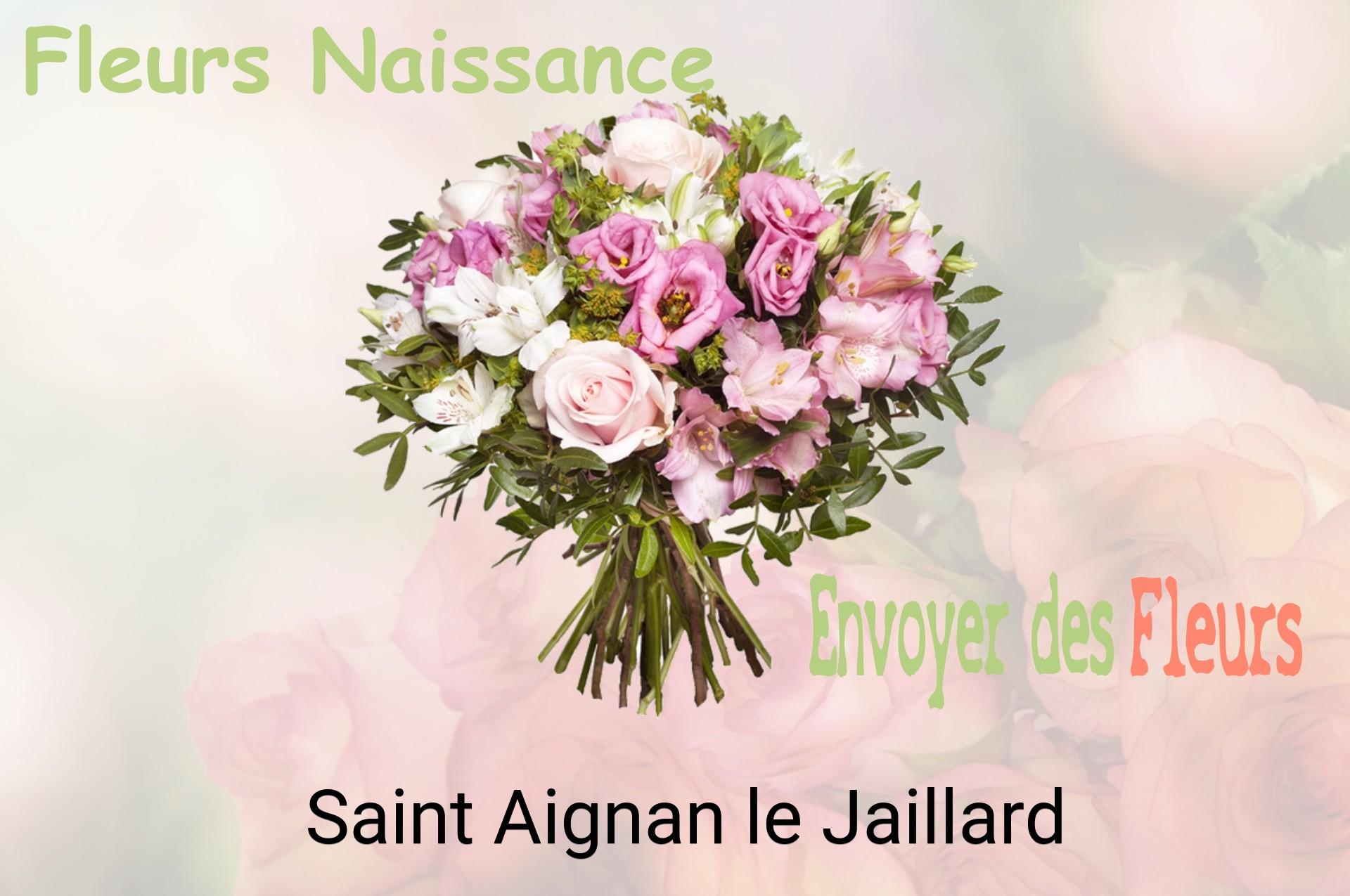 Bouquet de fleurs de naissance livré à Saint-Aignan-le-Jaillard