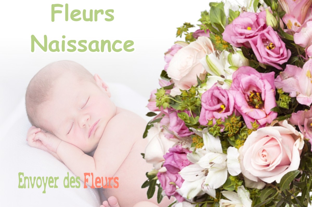 lIVRAISON FLEURS NAISSANCE à SAINT-AIGNAN-LE-JAILLARD